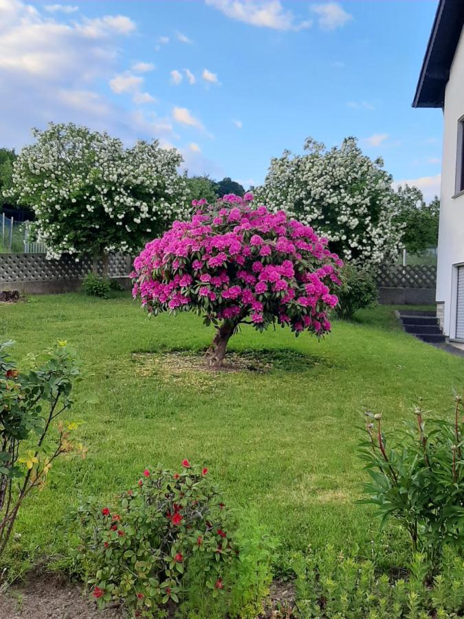 Ferienwohnung Fuelbier Oberzissen Bagian luar foto